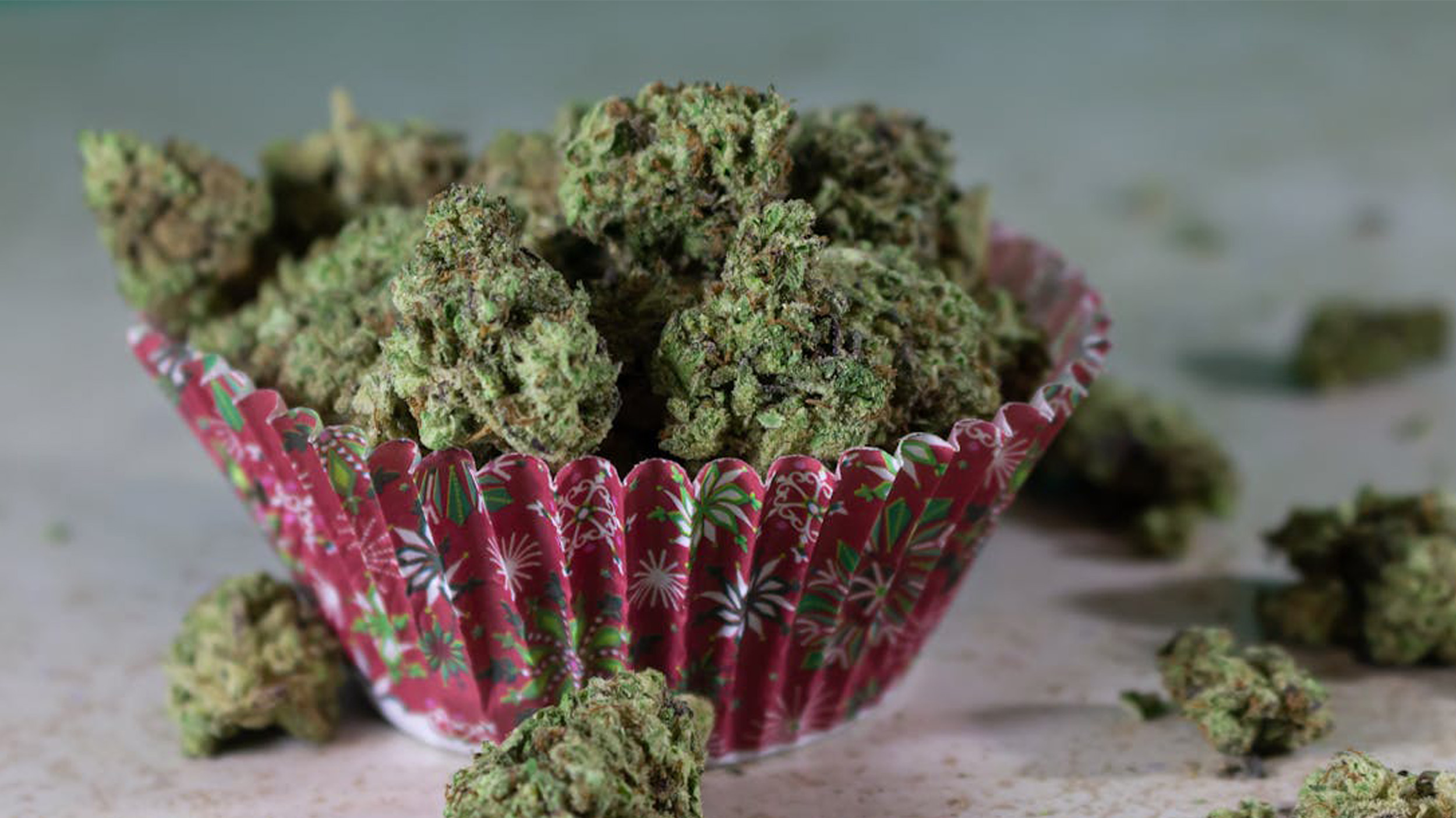 Medical cannabis edibles for pain relief displayed in a cupcake holder — ideal for chronic pain and inflammation management.