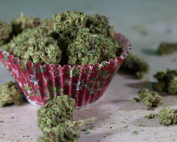 Medical cannabis edibles for pain relief displayed in a cupcake holder — ideal for chronic pain and inflammation management.