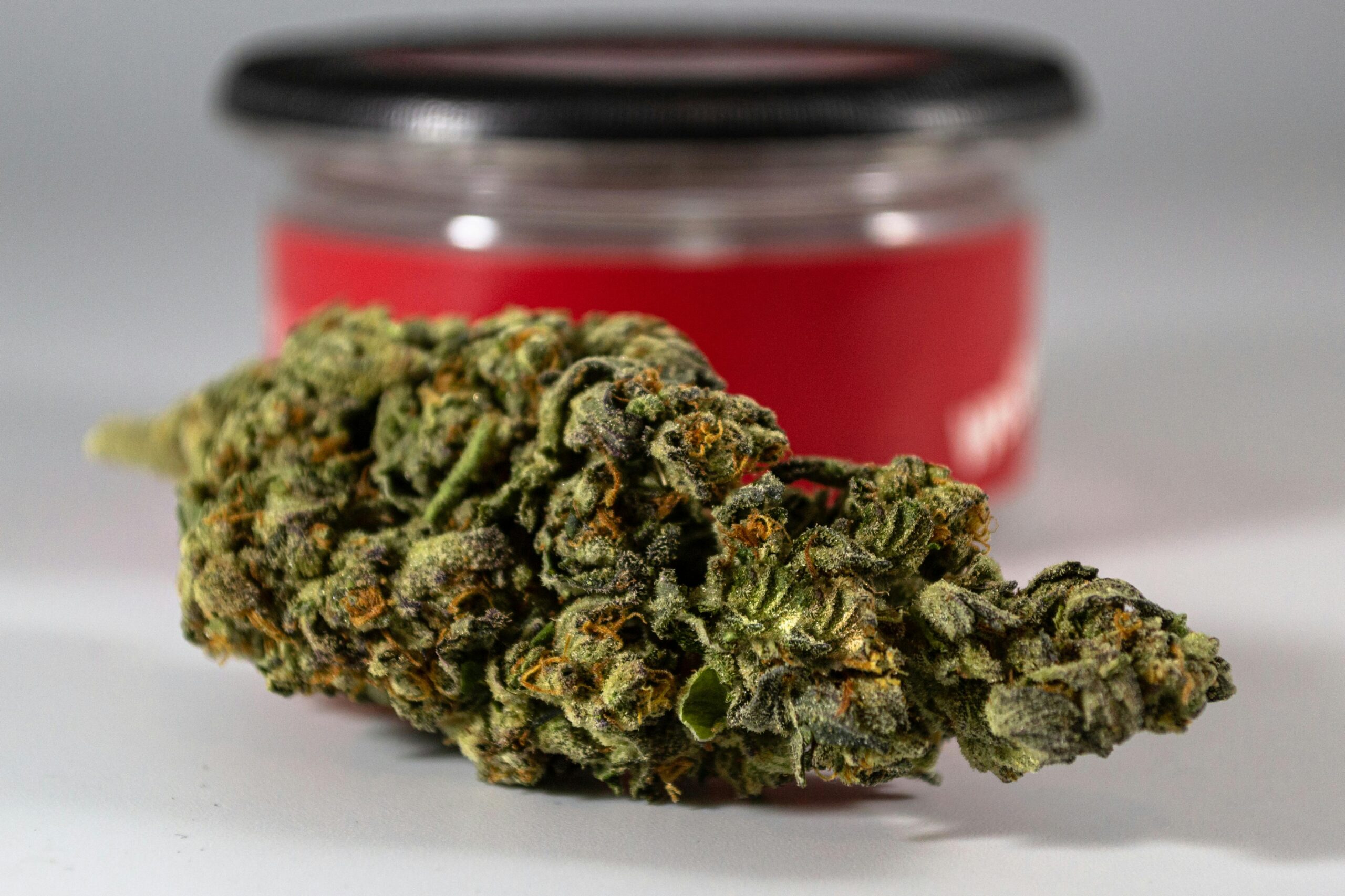 Does cannabis go out of date? Medical cannabis beside a container highlighting how cannabis can degrade, expire, or go bad if not properly stored.