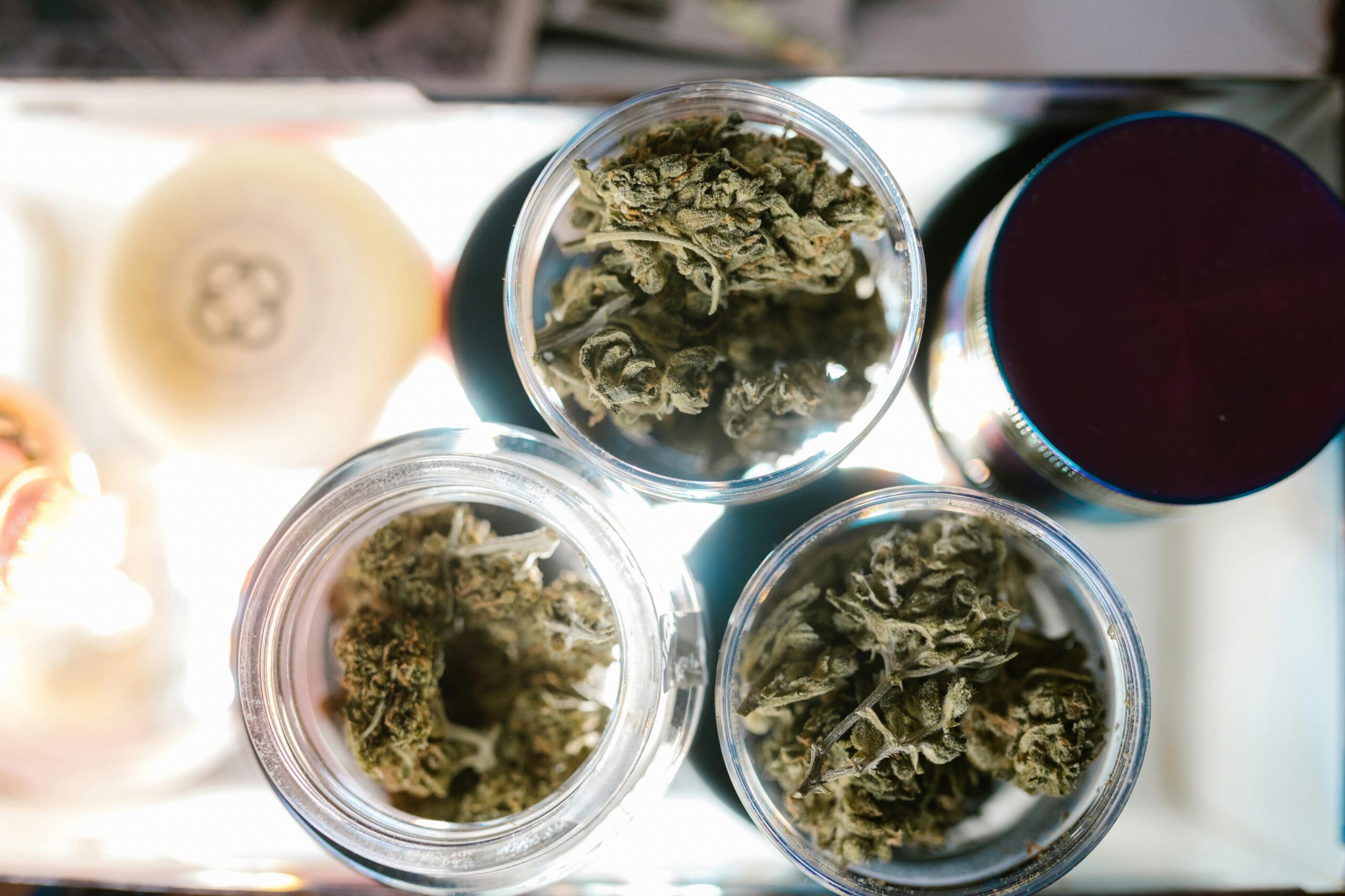 Medical cannabis stored in labelled glass jars – exploring whether cannabis can go out of date, lose potency, or expire over time.